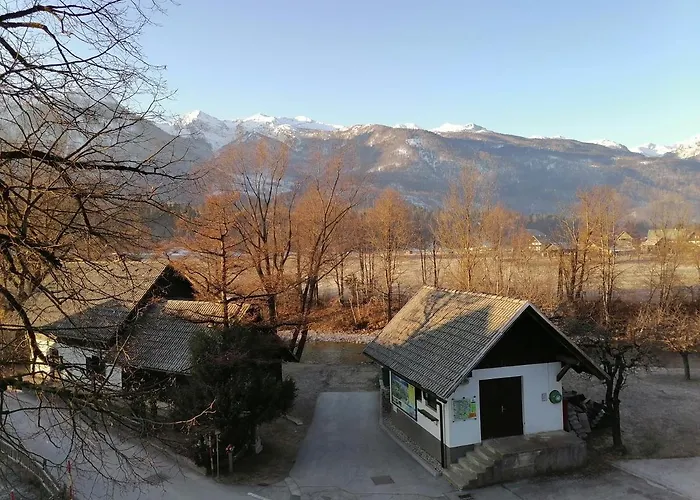 Apartma Kosnik Perunika * Bohinj